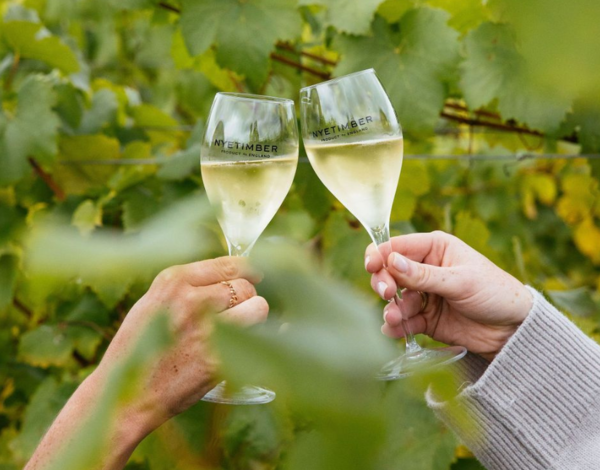 Nyetimber Experience & Overnight Stay