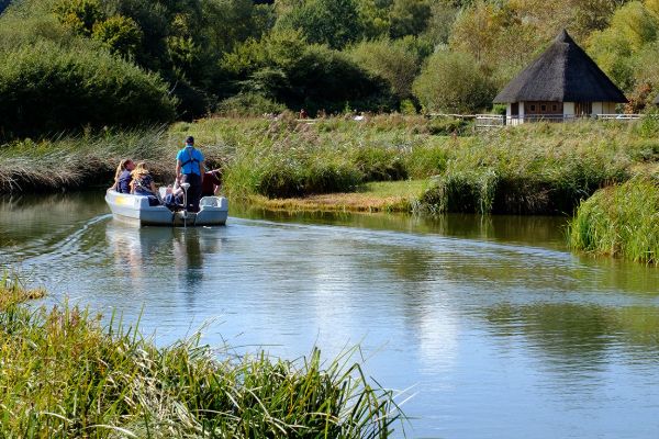 Arundel Wetlands Centre